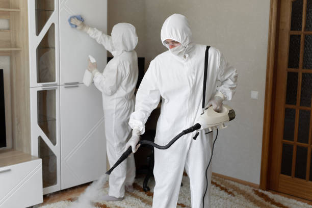 24/7 Emergency Odor Removal experts in Belleville, IL