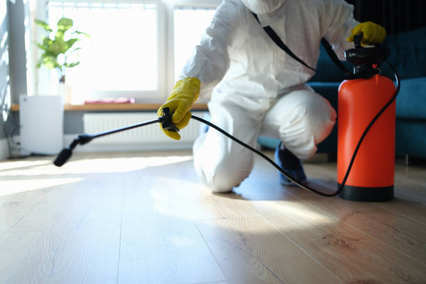 Reliable Odor Removal contractor in Belleville, IL by Crime Scene Cleaner Online
